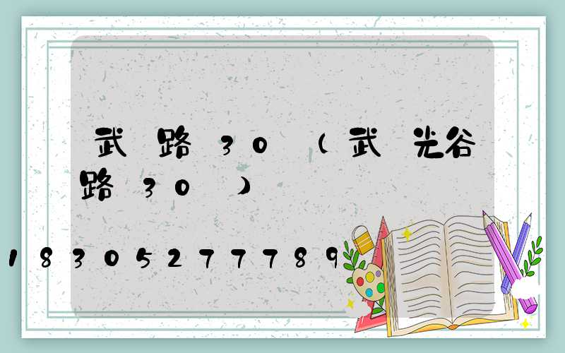 武漢路燈30萬(武漢光谷路燈30萬)