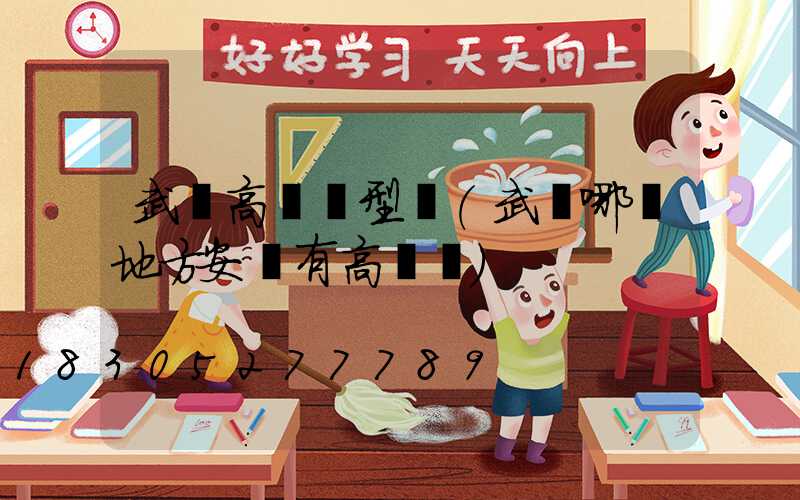 武漢高桿燈型號(武漢哪個地方安裝有高桿燈)