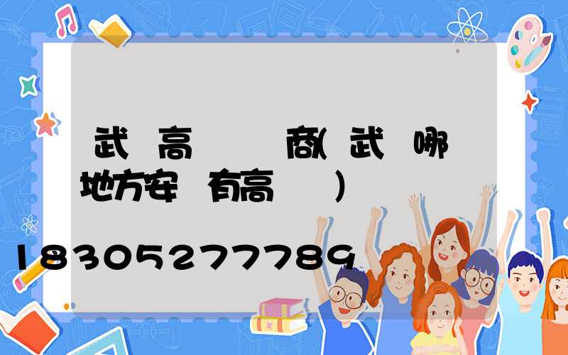 武漢高桿燈廠商(武漢哪個地方安裝有高桿燈)