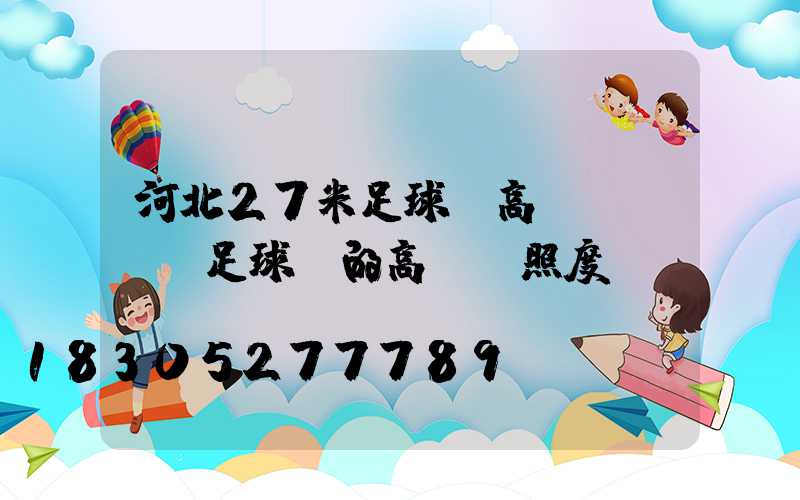 河北27米足球場高桿燈(標準足球場的高桿燈照度)