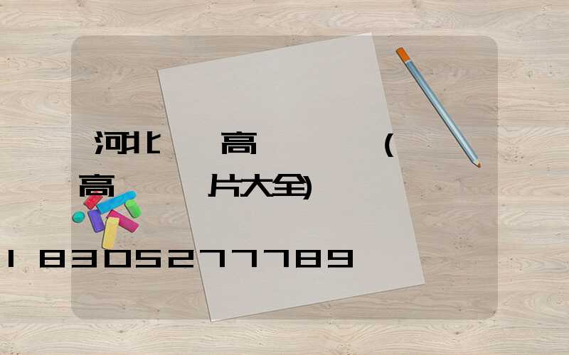 河北廣場高桿燈報價(廣場高桿燈圖片大全)