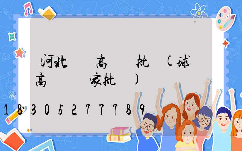 河北機場高桿燈批發(球場高桿燈廠家批發)