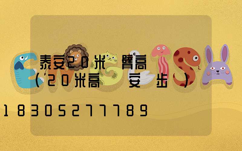 泰安20米雙臂高桿燈報價(20米高桿燈安裝步驟)