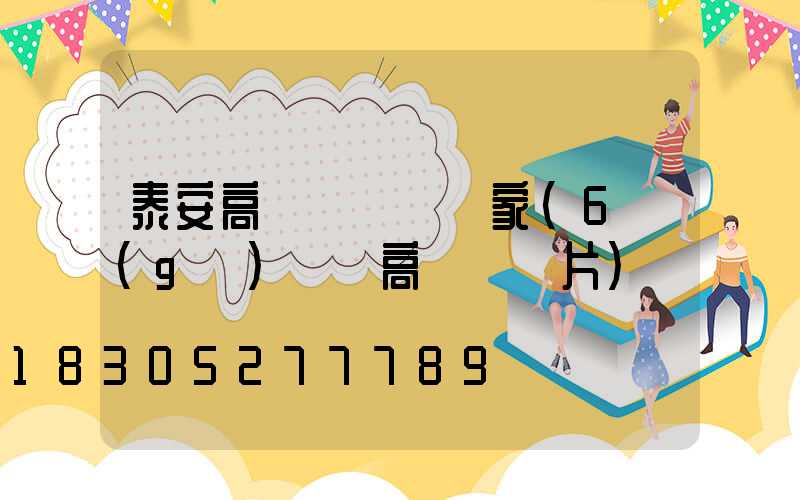 泰安高桿燈燈頭廠家(6個(gè)燈頭高桿燈圖片)