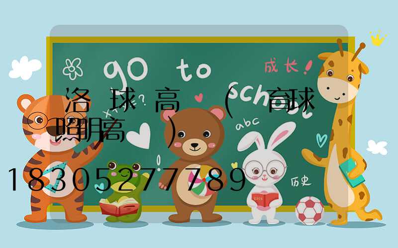 洛寧球場高桿燈(體育球場照明高桿燈)