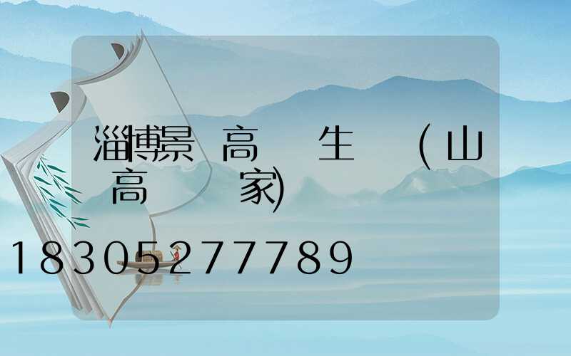 淄博景觀高桿燈生產廠(山東高桿燈廠家)