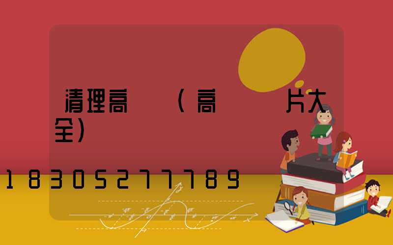 清理高桿燈(高桿燈圖片大全)