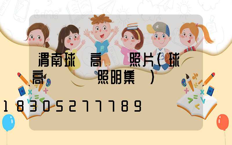 渭南球場高桿燈照片(球場高桿燈誠陽照明集團)