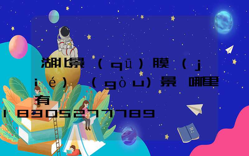 湖北景區(qū)膜結(jié)構(gòu)景觀哪里有