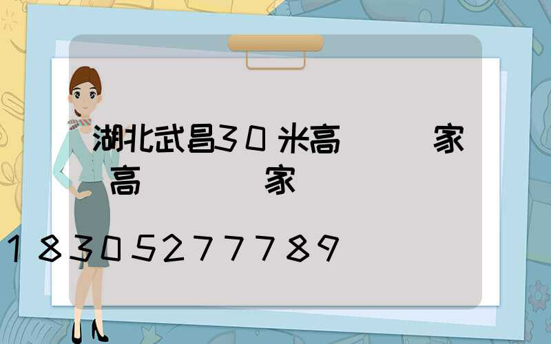 湖北武昌30米高桿燈廠家(高桿燈桿廠家)