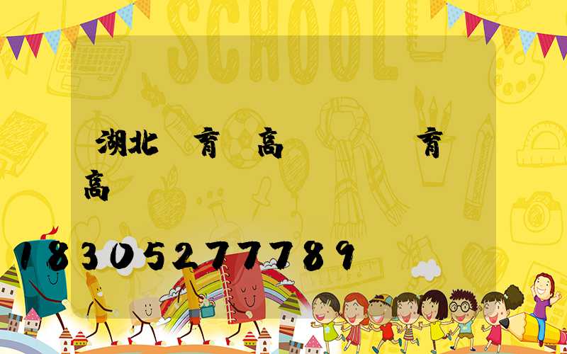 湖北體育館高桿燈(體育場高桿燈)