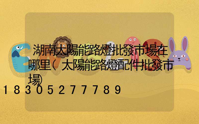 湖南太陽能路燈批發市場在哪里(太陽能路燈配件批發市場)