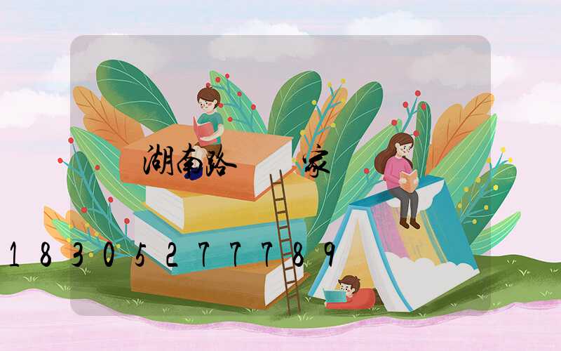 湖南路燈廠家
