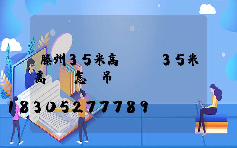 滕州35米高桿燈(35米高桿燈怎樣吊裝)