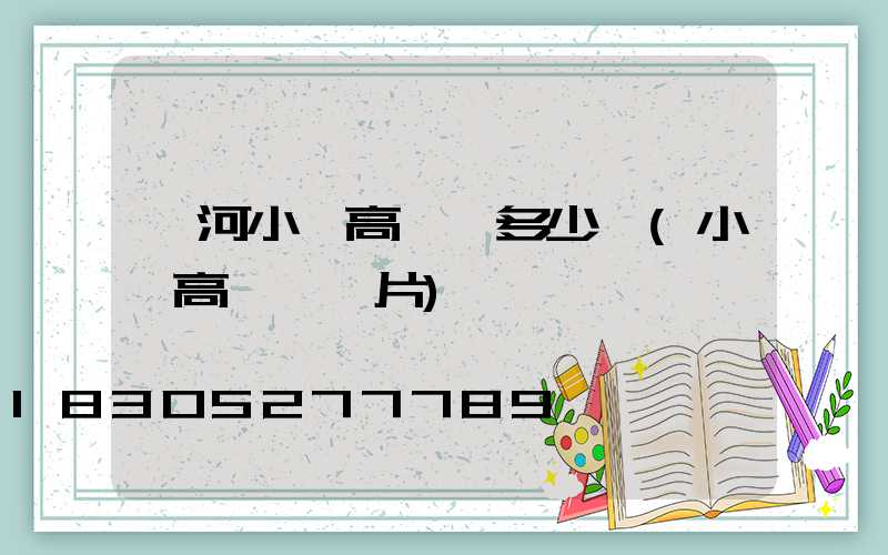 漯河小區高桿燈多少錢(小區高桿燈圖片)