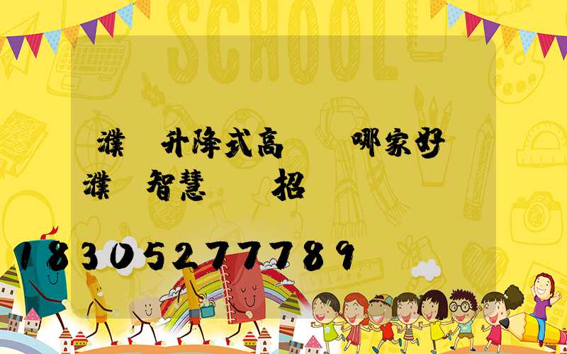 濮陽升降式高桿燈哪家好(濮陽智慧燈桿招標)