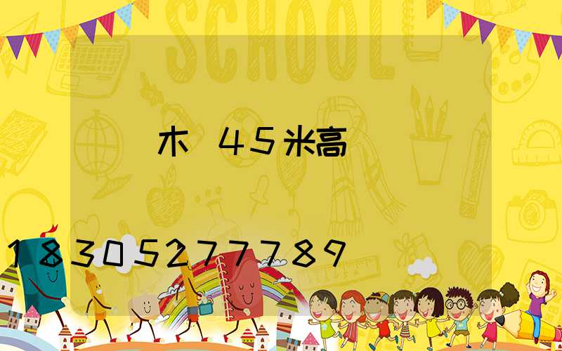烏魯木齊45米高桿燈