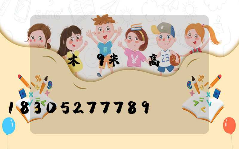 烏魯木齊9米廣場高桿燈