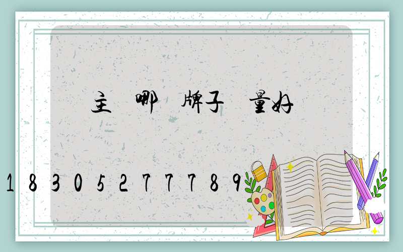 無主燈哪個牌子質量好