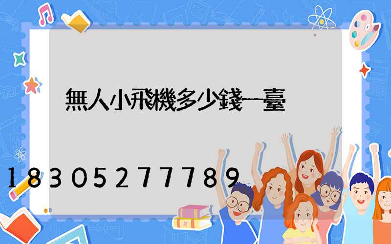 無人小飛機多少錢一臺