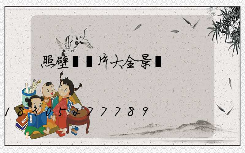 照壁墻圖片大全景觀