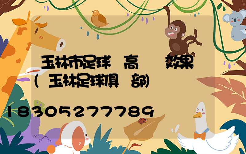 玉林市足球場高桿燈效果圖(玉林足球俱樂部)