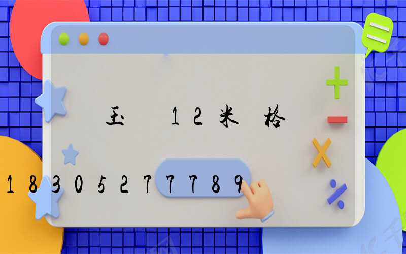 玉蘭燈12米價格