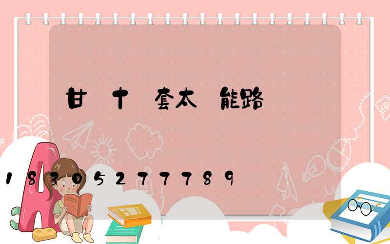 甘肅十萬套太陽能路燈