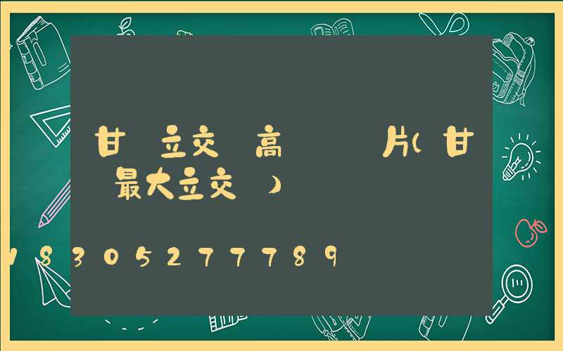 甘肅立交橋高桿燈圖片(甘肅最大立交橋)