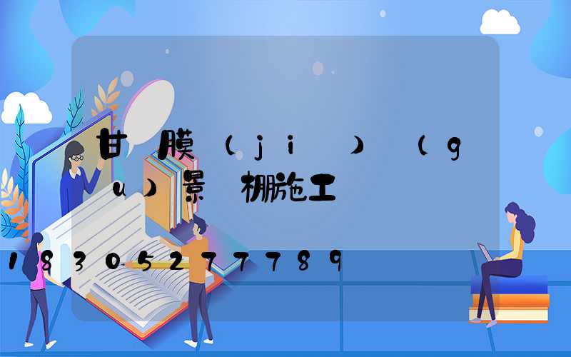 甘肅膜結(jié)構(gòu)景觀棚施工