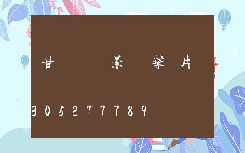 甘肅鋼結構景觀橋梁圖片