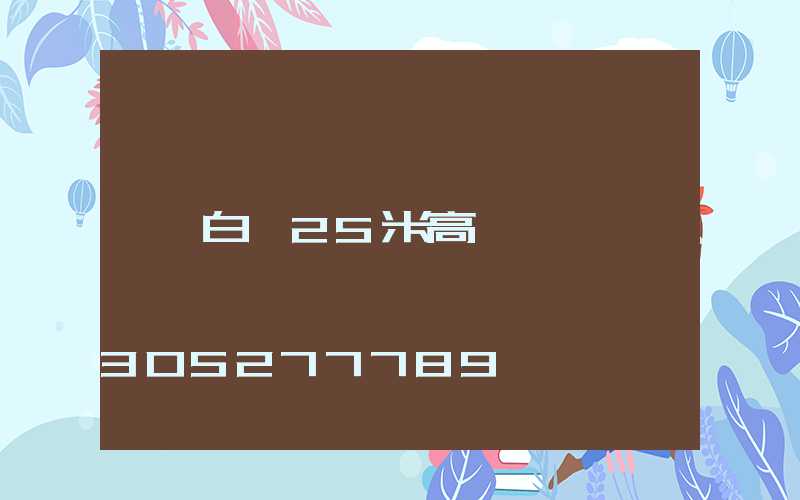 白銀25米高桿燈