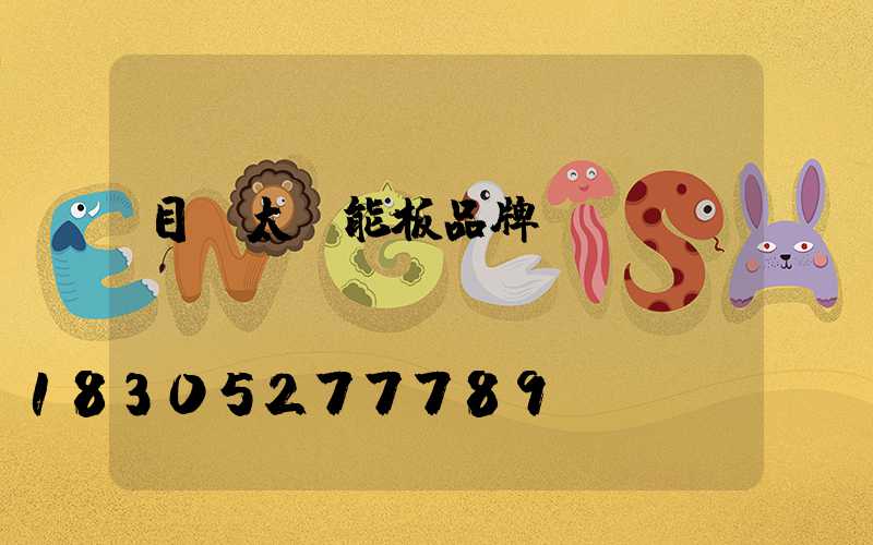 目前太陽能板品牌