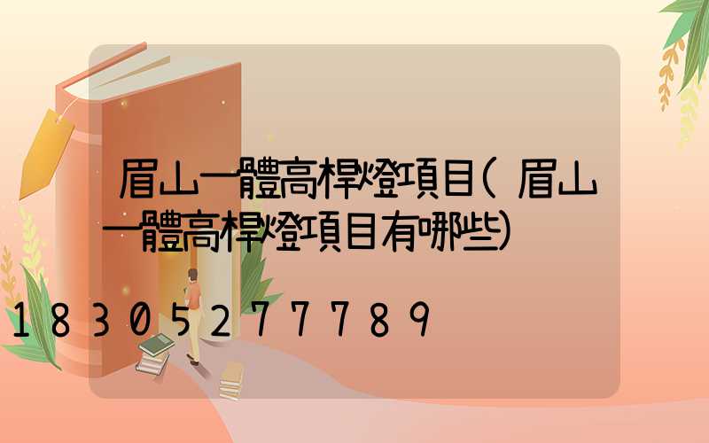 眉山一體高桿燈項目(眉山一體高桿燈項目有哪些)