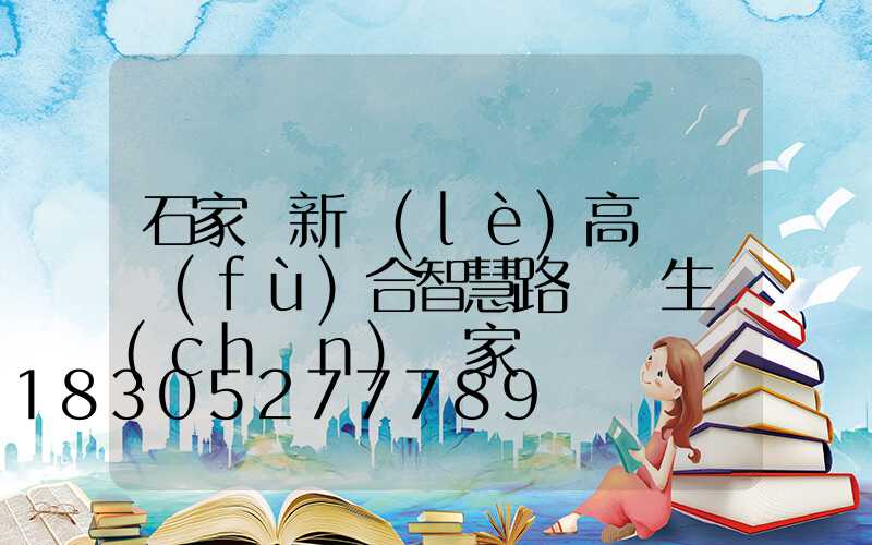 石家莊新樂(lè)高桿燈復(fù)合智慧路燈桿生產(chǎn)廠家