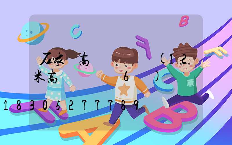 石家莊高桿燈廣場燈(12米高桿燈廣場燈6頭)