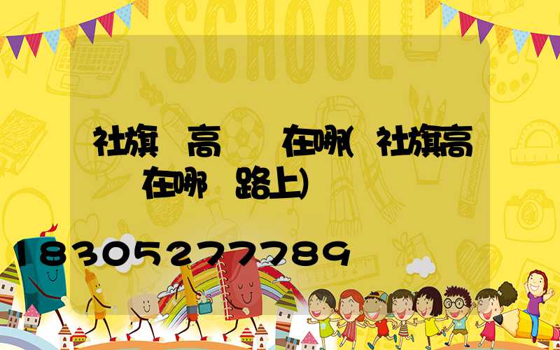 社旗東高桿燈在哪(社旗高桿燈在哪個路上)
