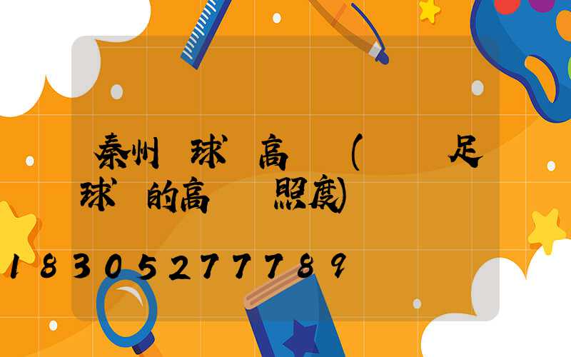 秦州區球場高桿燈(標準足球場的高桿燈照度)