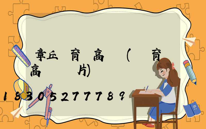 章丘體育場高桿燈(體育場高桿燈圖片)