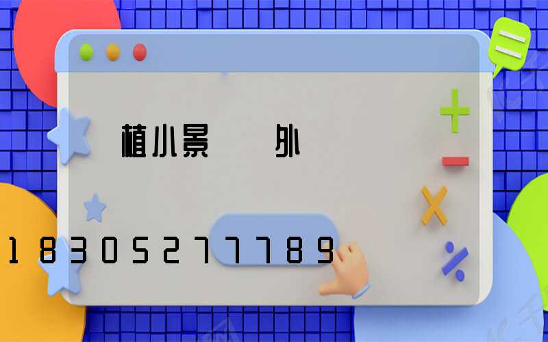 綠植小景觀戶外