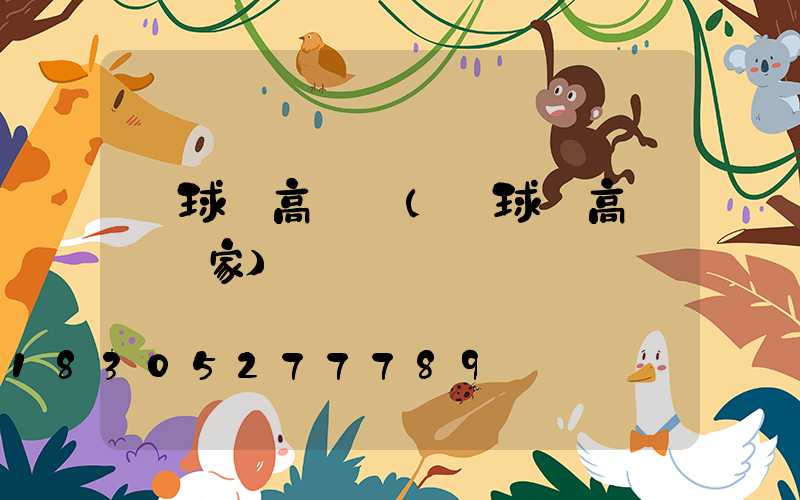 網球場高桿燈(網球場高桿燈廠家)