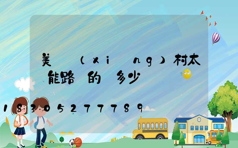 美麗鄉(xiāng)村太陽能路燈的燈多少錢