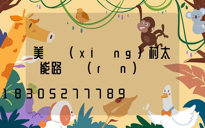 美麗鄉(xiāng)村太陽能路燈認(rèn)購