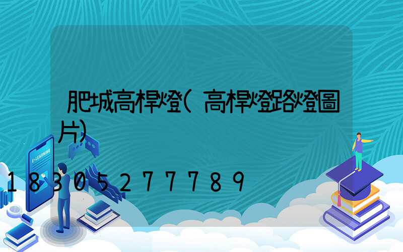 肥城高桿燈(高桿燈路燈圖片)