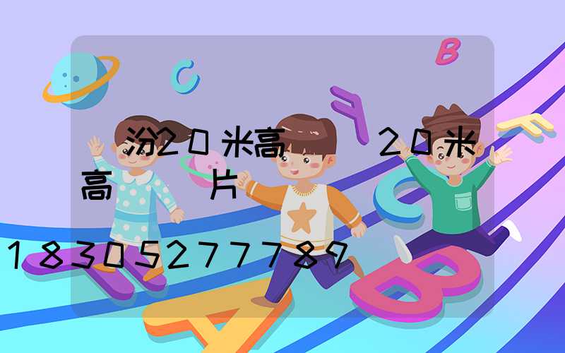 臨汾20米高桿燈(20米高桿燈圖片)