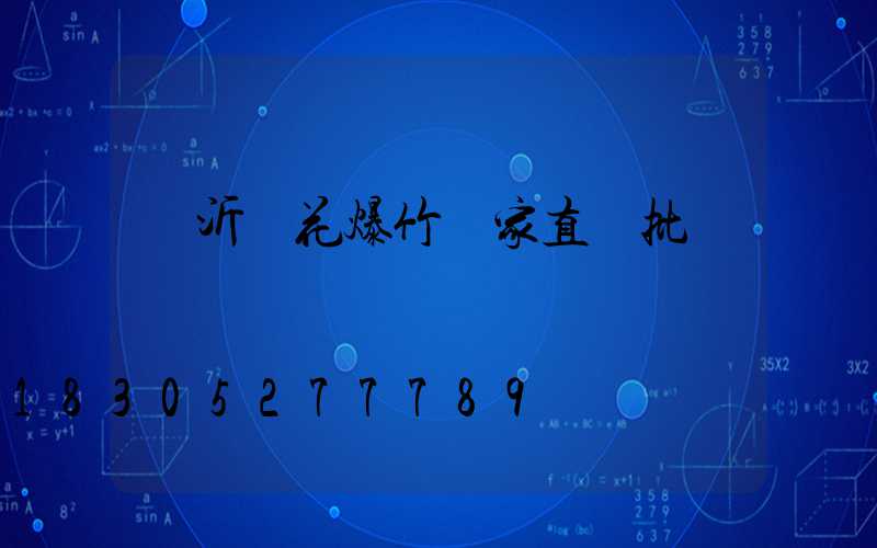 臨沂煙花爆竹廠家直銷批發