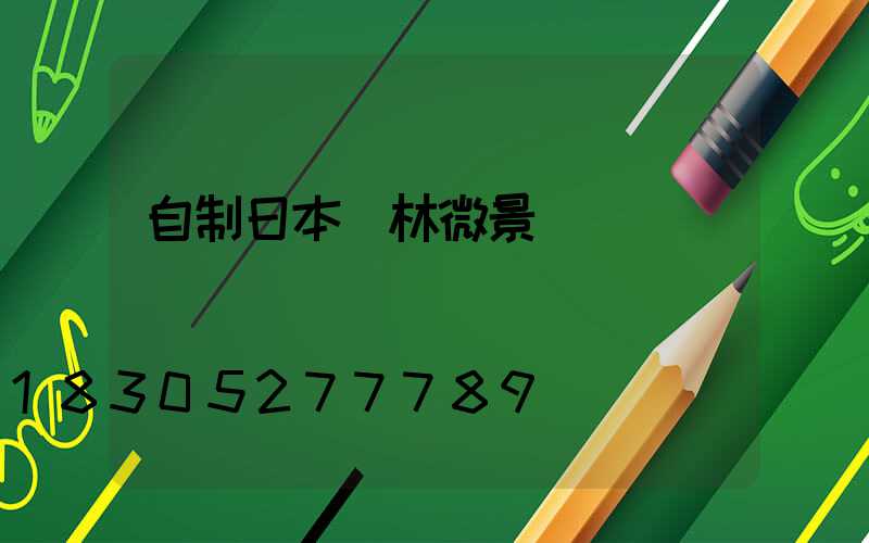 自制日本園林微景觀