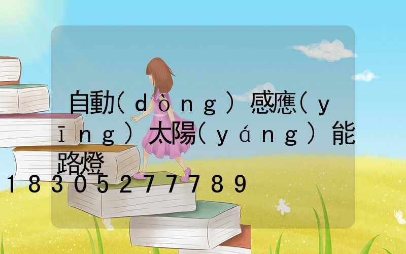 自動(dòng)感應(yīng)太陽(yáng)能路燈
