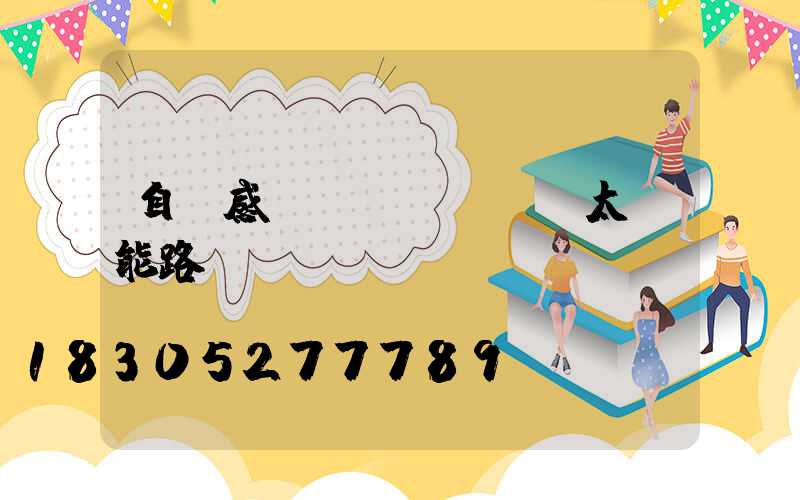 自動感應(yīng)太陽能路燈