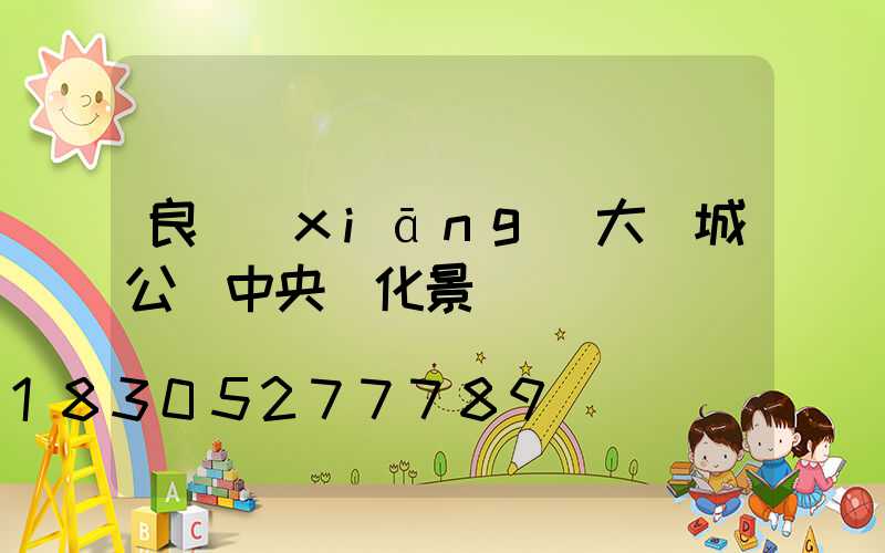 良鄉(xiāng)大學城公園中央綠化景觀